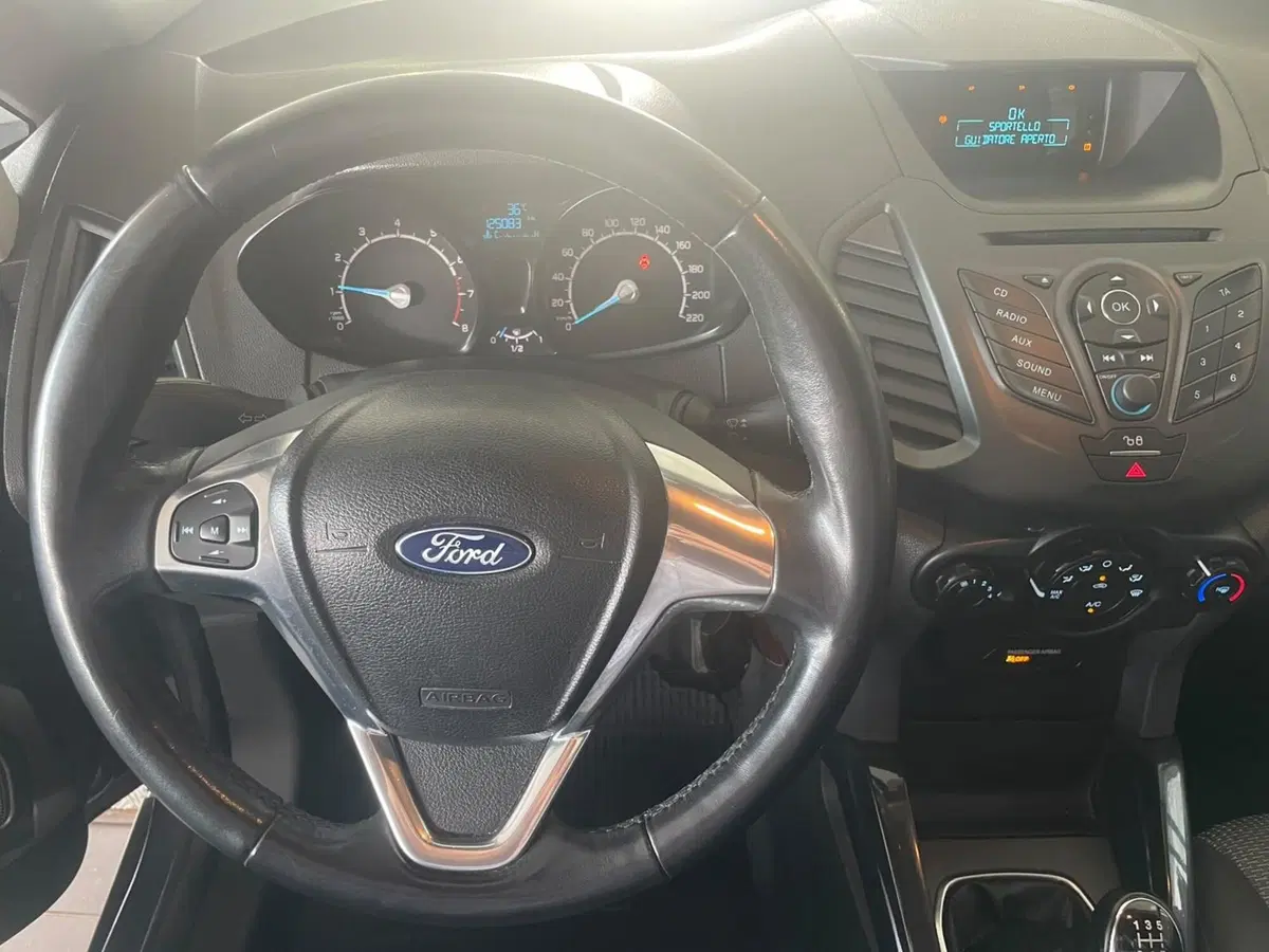 Ford EcoSport usata a Lucca (11)