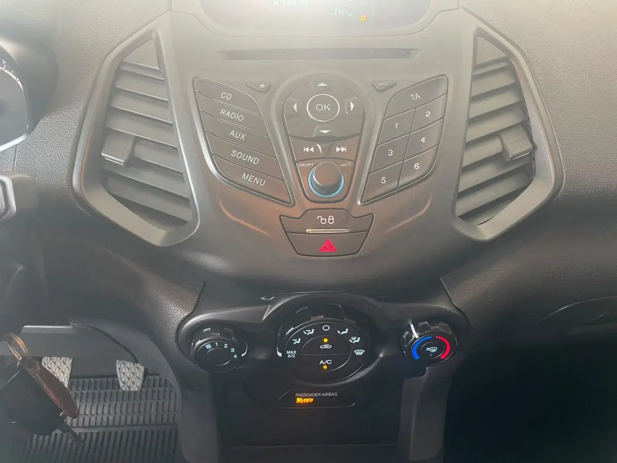 Ford EcoSport usata a Lucca (13)