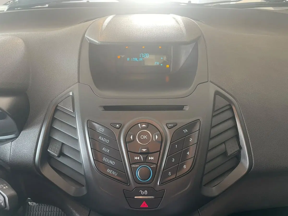 Ford EcoSport usata a Lucca (14)
