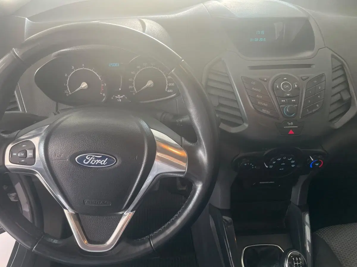 Ford EcoSport usata a Lucca (9)