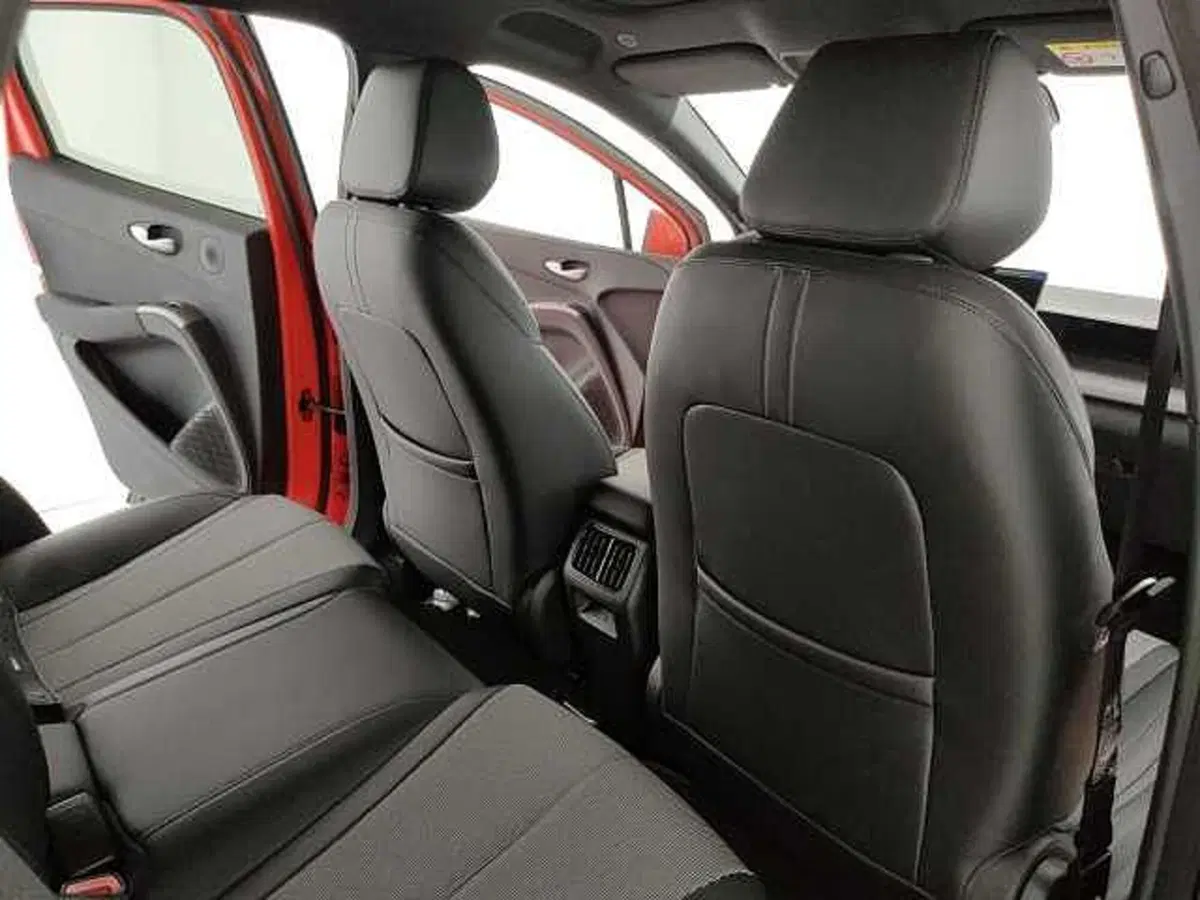 Byd Dolphin G DM-i nuova a Caserta (13)