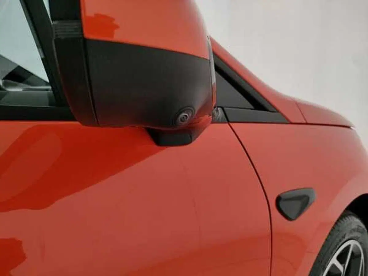 Byd Dolphin G DM-i nuova a Caserta (17)