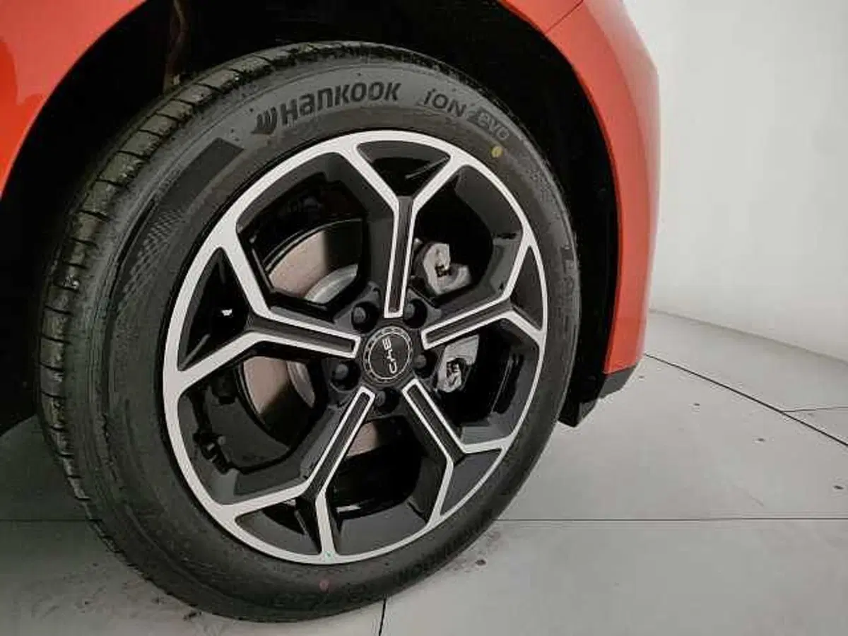 Byd Dolphin G DM-i nuova a Caserta (8)