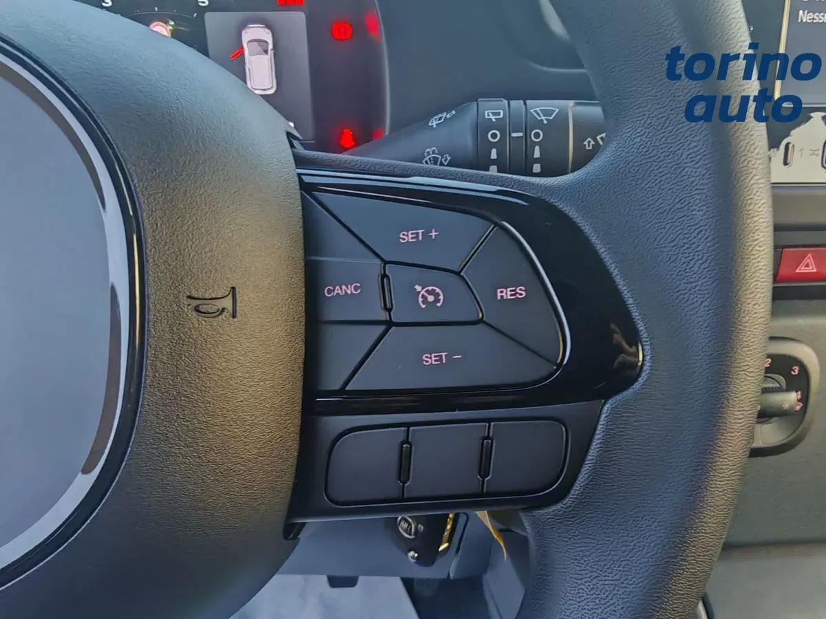 Fiat Panda Cross nuova a Torino (14)