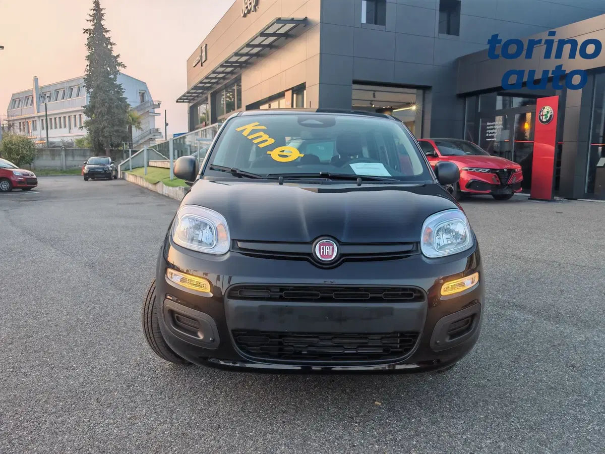 Fiat Panda Cross nuova a Torino (2)