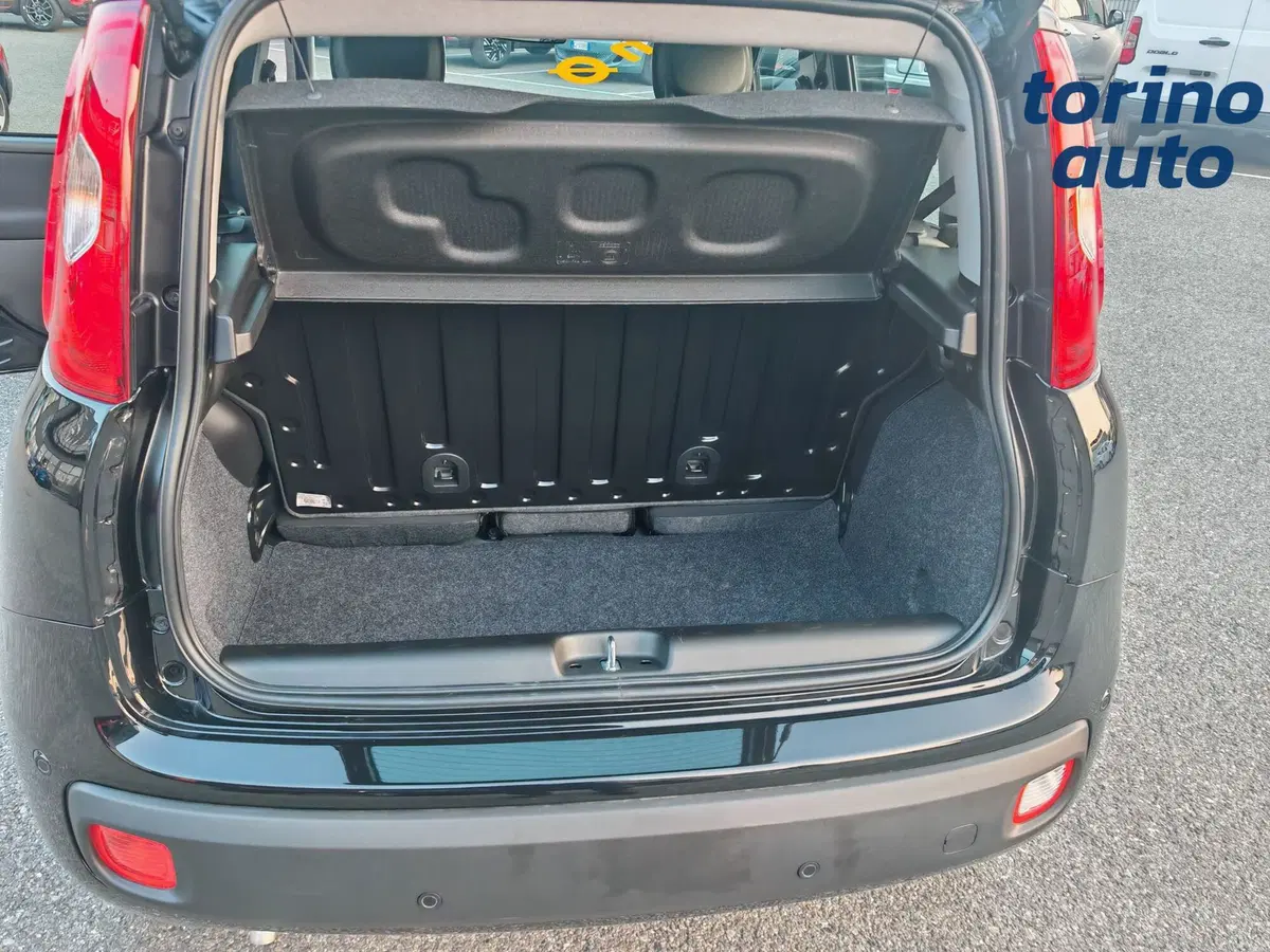 Fiat Panda Cross nuova a Torino (20)