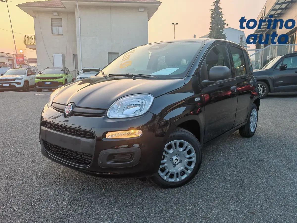 Fiat Panda Cross nuova a Torino (3)