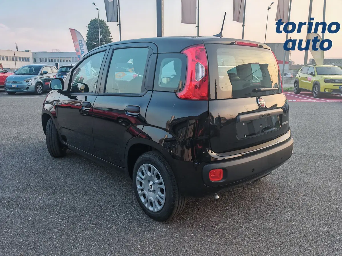 Fiat Panda Cross nuova a Torino (4)