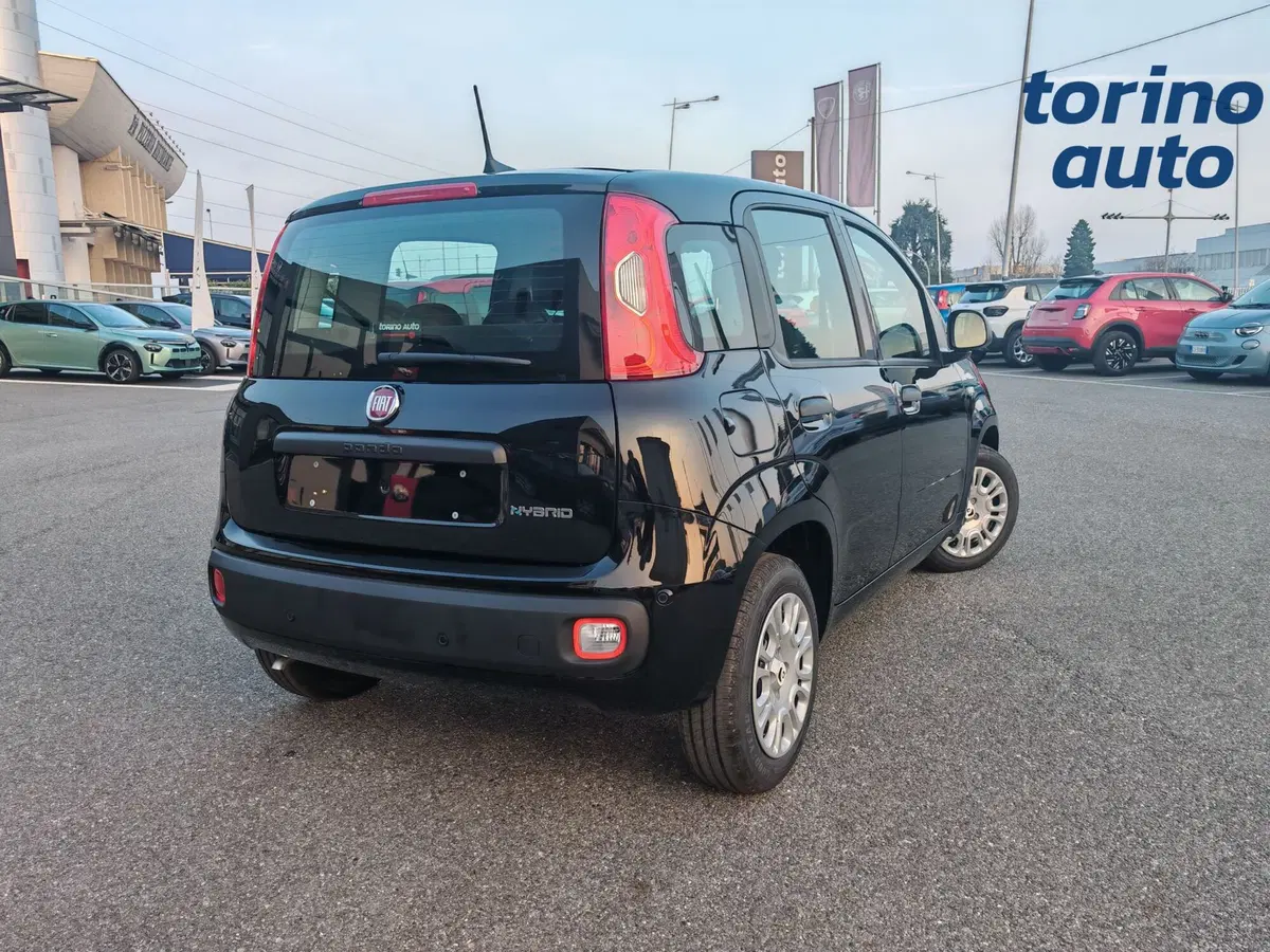 Fiat Panda Cross nuova a Torino (5)