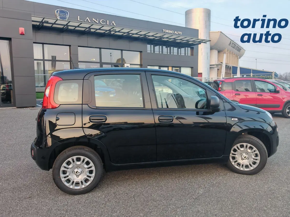 Fiat Panda Cross nuova a Torino (6)