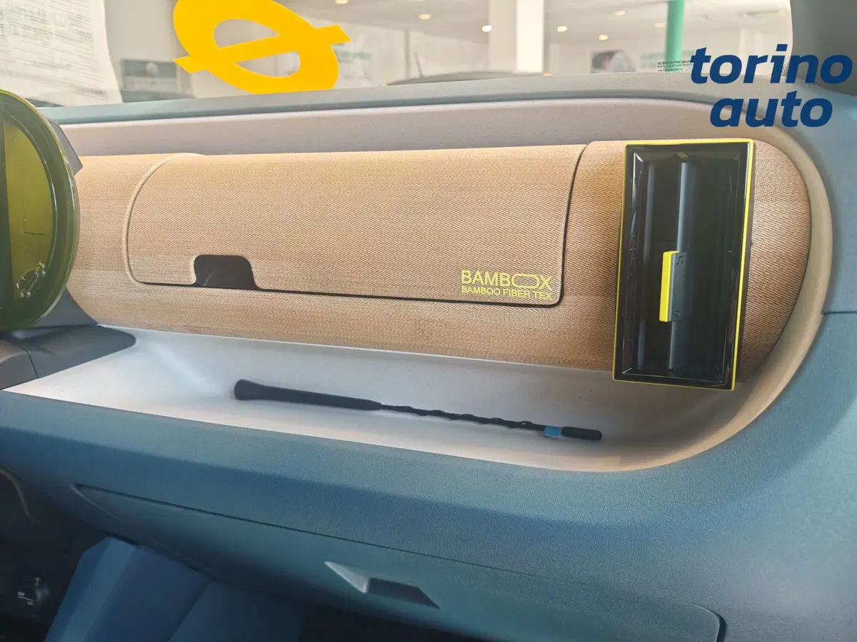 Fiat Grande Panda nuova a Torino (7)
