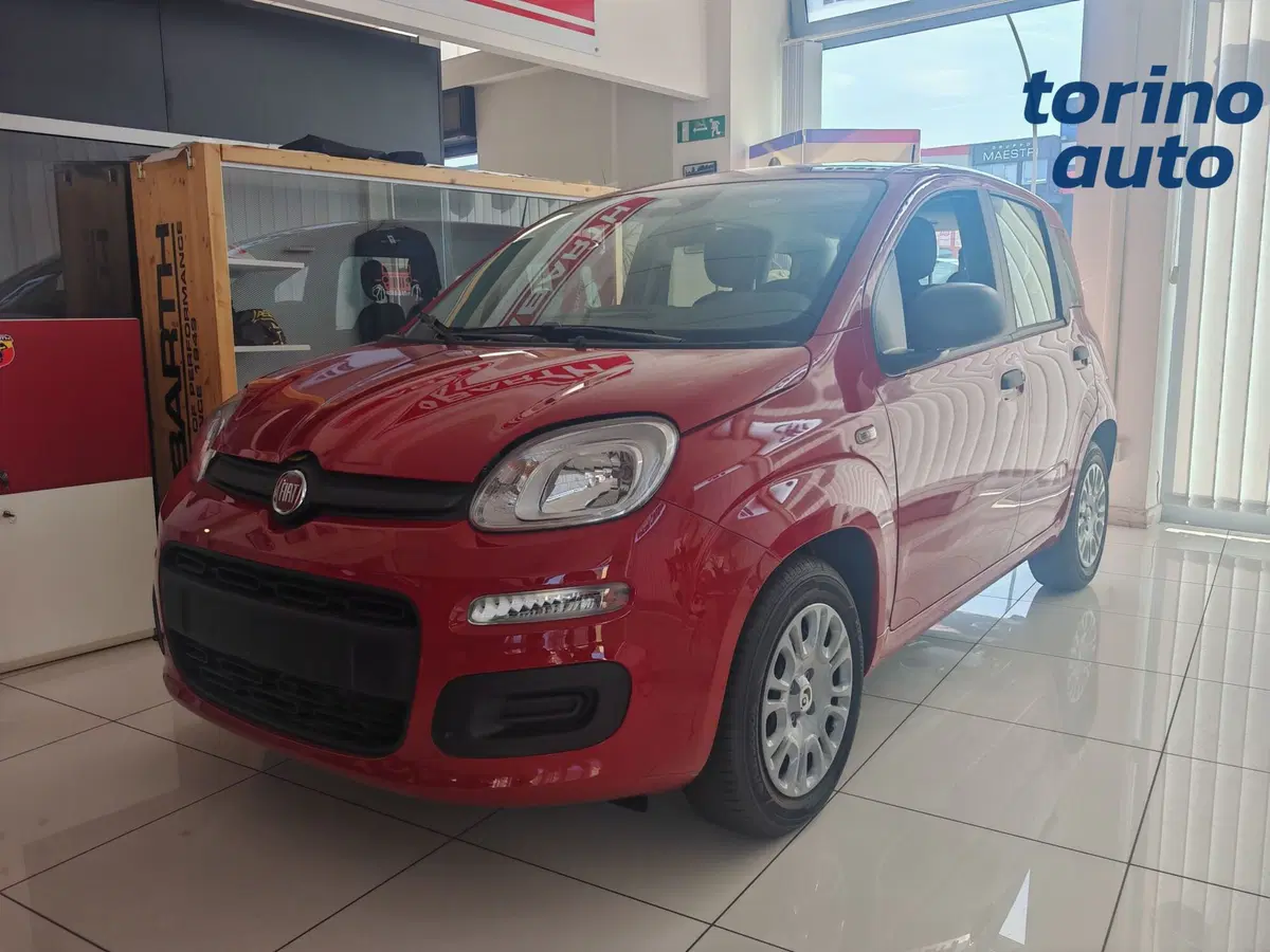 Fiat Pandina nuova a Torino (2)