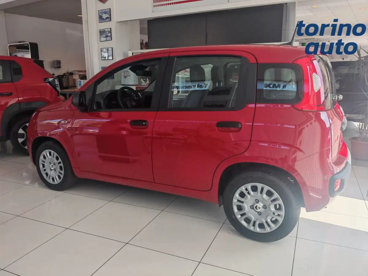 Fiat Pandina nuova a Torino (3)