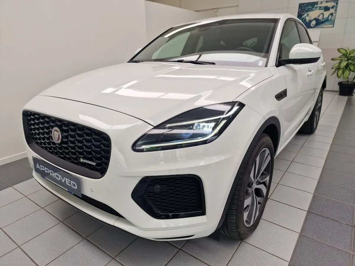 Jaguar E-Pace usata a Verbano Cusio Ossola (17)