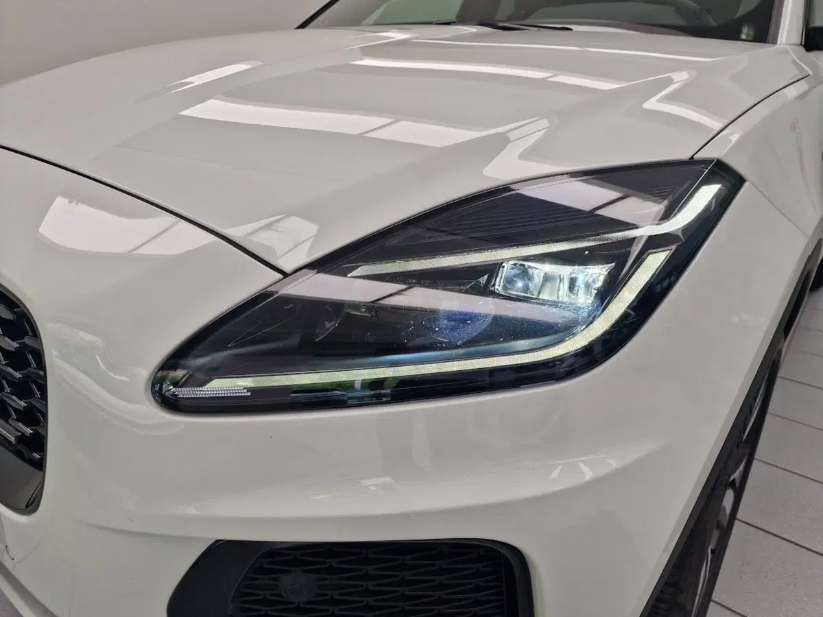 Jaguar E-Pace usata a Verbano Cusio Ossola (18)