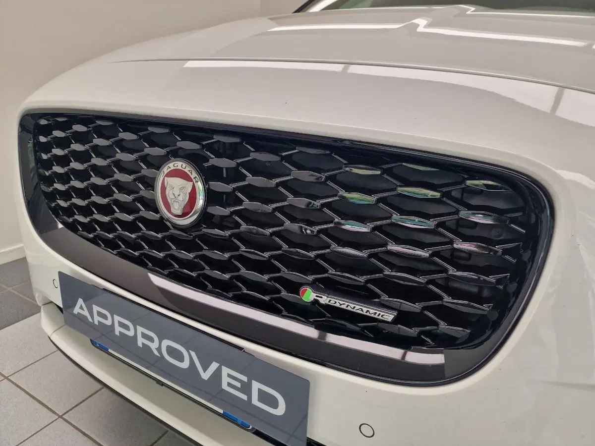 Jaguar E-Pace usata a Verbano Cusio Ossola (19)