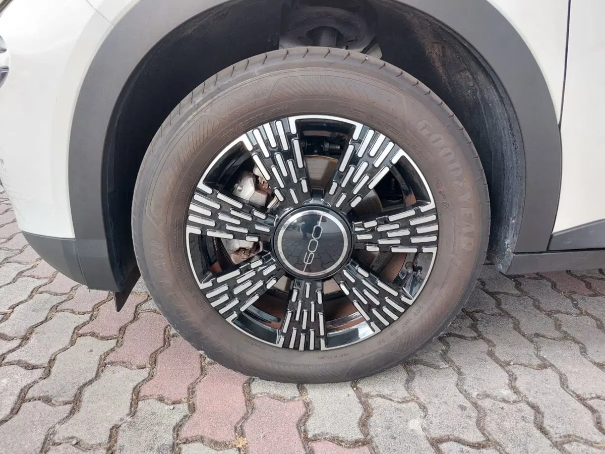 Fiat 600 usata a Pavia (14)