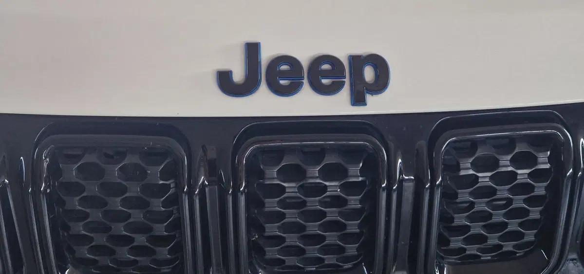 Jeep Compass usata a Terni (20)