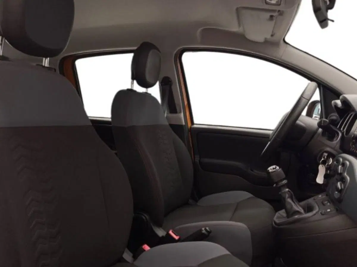 Fiat Panda usata a Ancona (16)