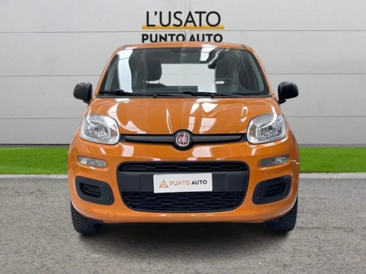 Fiat Panda usata a Ancona (2)