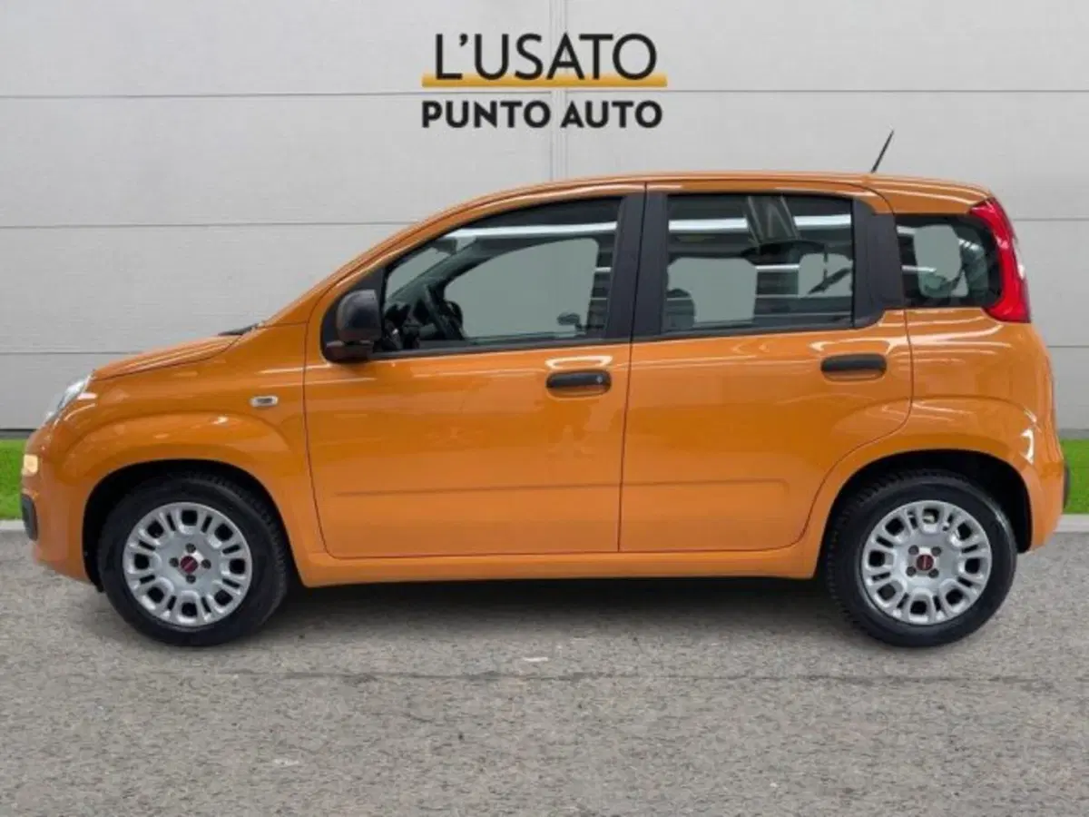 Fiat Panda usata a Ancona (4)