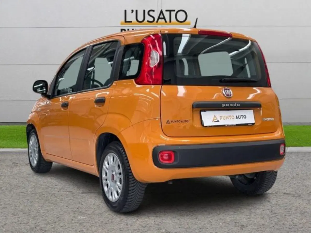 Fiat Panda usata a Ancona (5)
