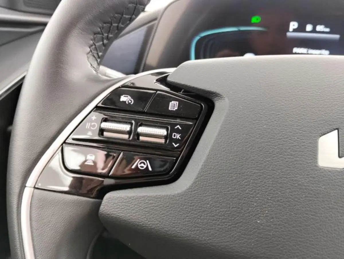 Kia Niro usata a Como (11)