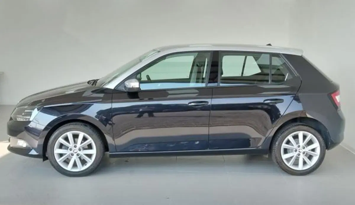 Skoda Fabia usata a Como (8)
