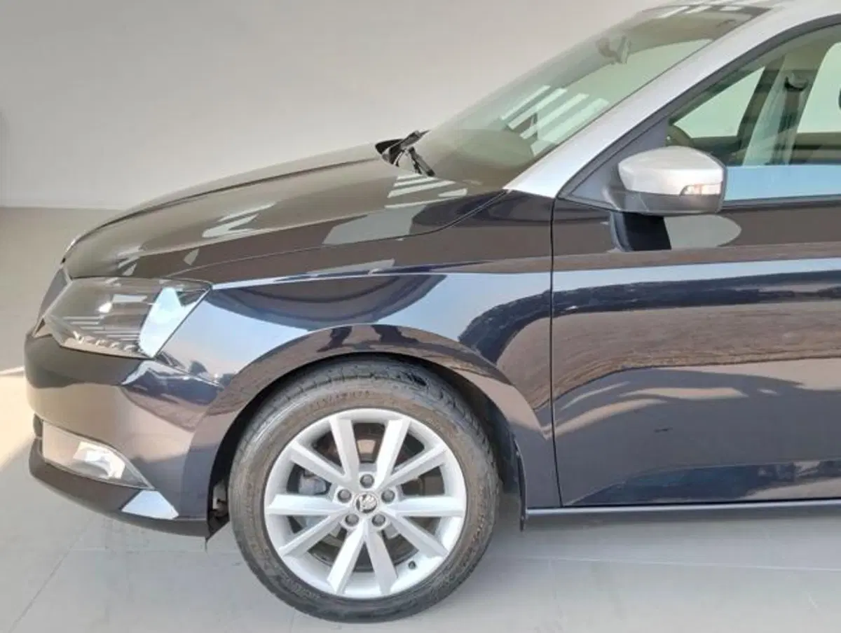 Skoda Fabia usata a Como (9)