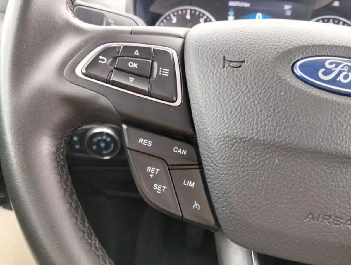 Ford EcoSport usata a Como (10)