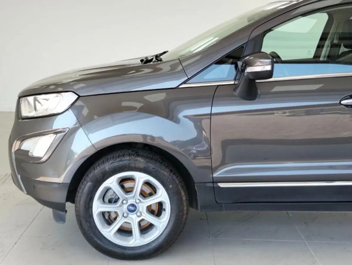 Ford EcoSport usata a Como (8)