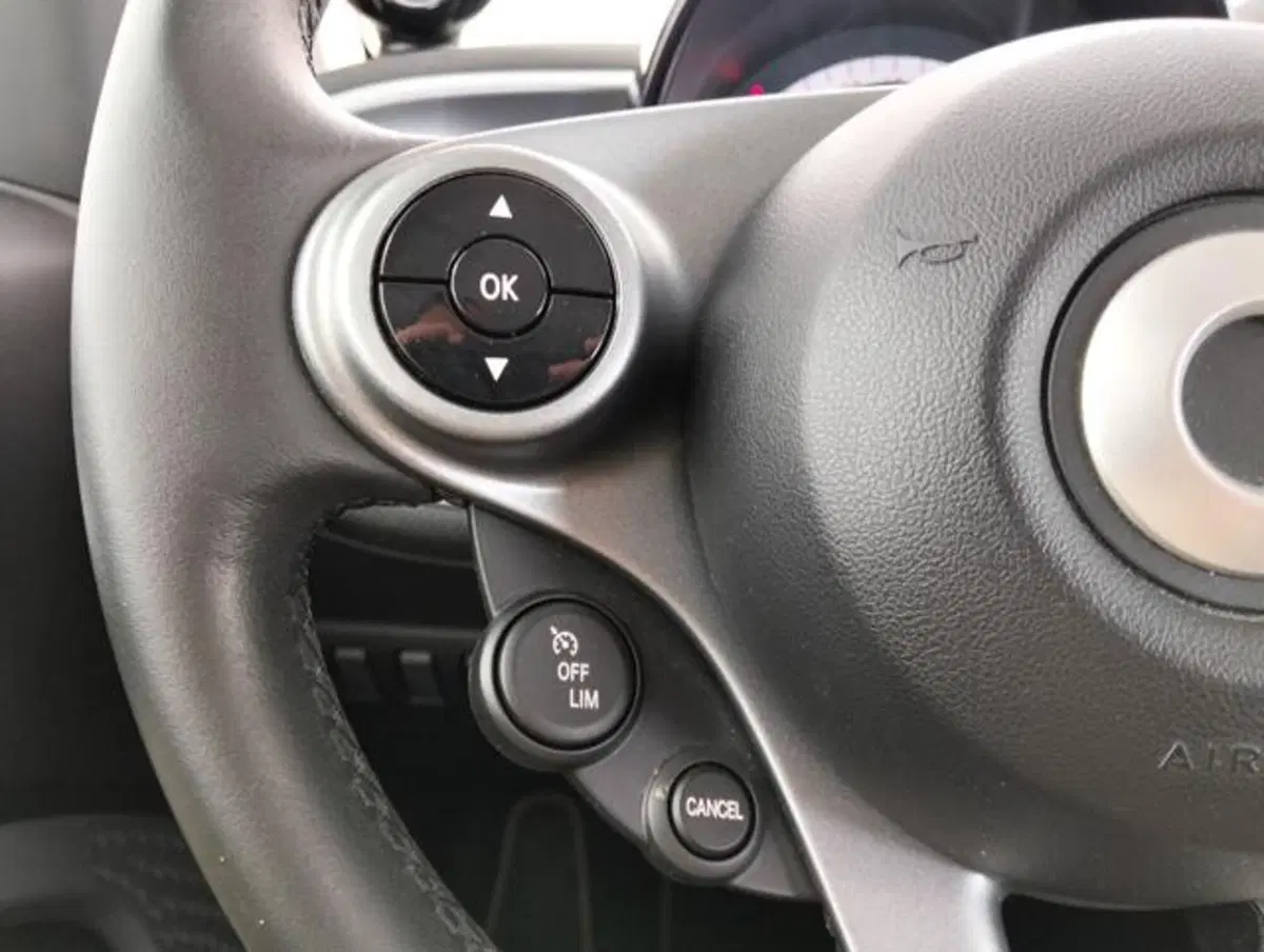 smart Fortwo usata a Como (10)