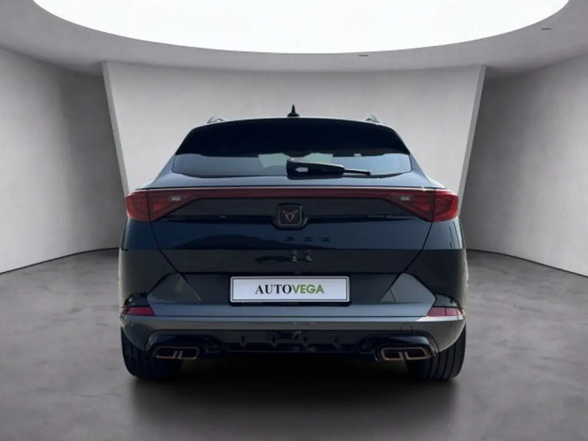 Cupra Formentor usata a Vicenza (5)