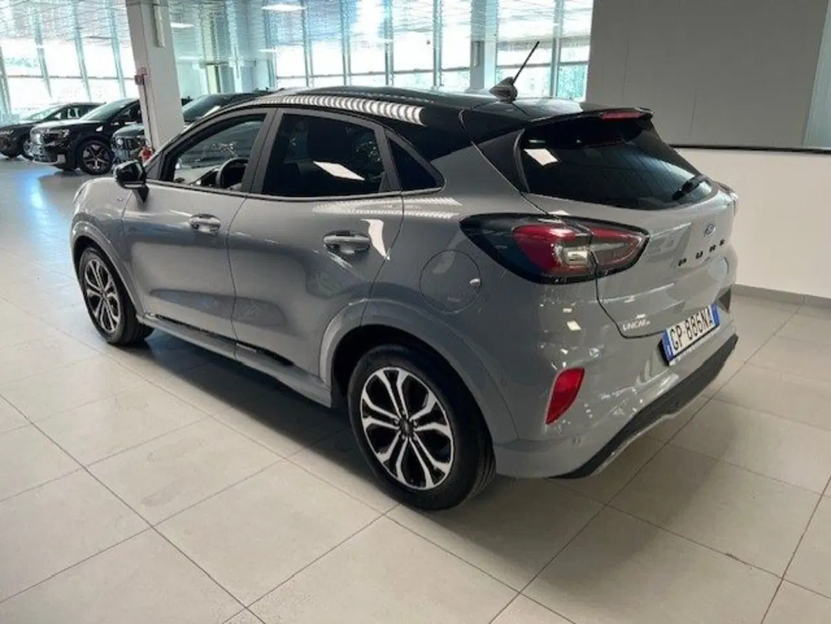 Ford Puma usata a Cuneo (6)