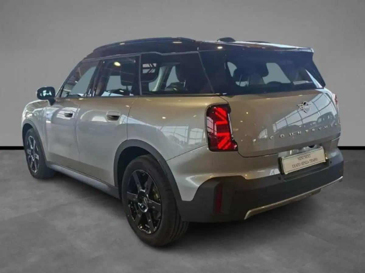MINI Mini Countryman usata a Verona (4)