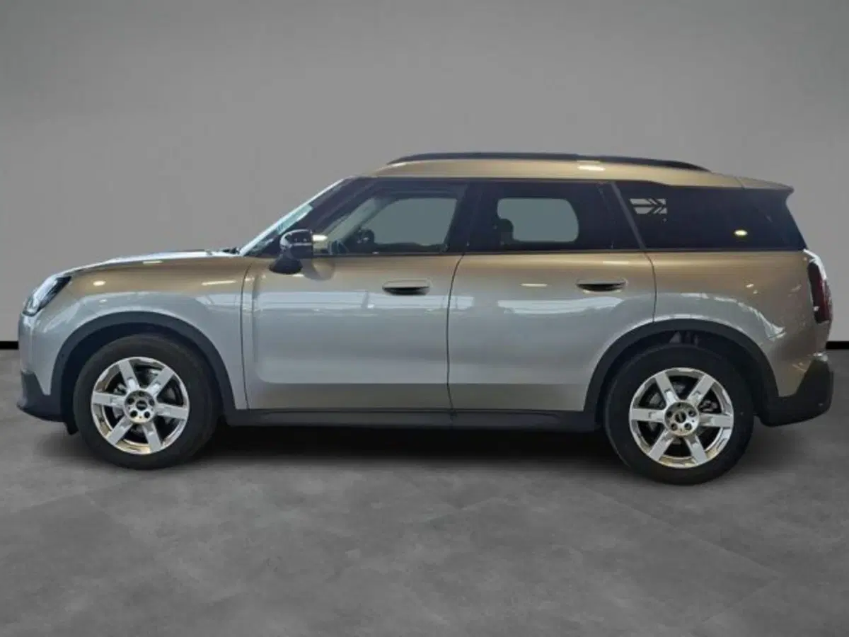 MINI Mini Countryman usata a Verona (3)
