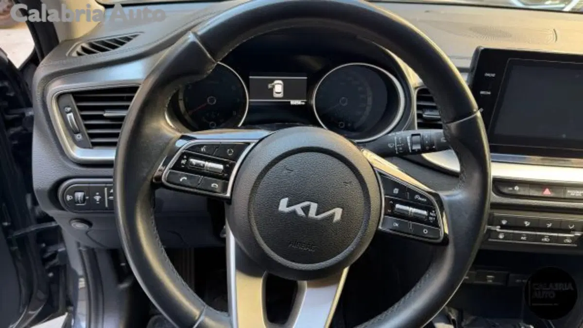 Kia XCeed usata a Reggio Calabria (10)