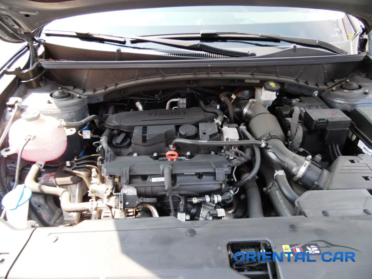 Hyundai Tucson usata a La Spezia (15)