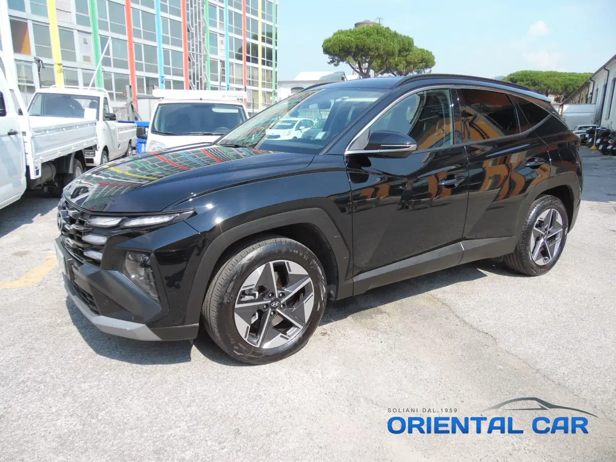 Hyundai Tucson usata a La Spezia (7)