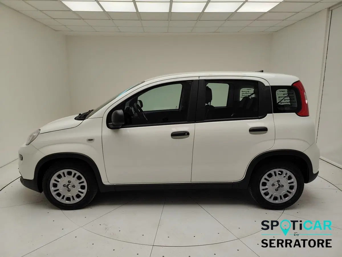 Fiat Pandina nuova a Como (3)