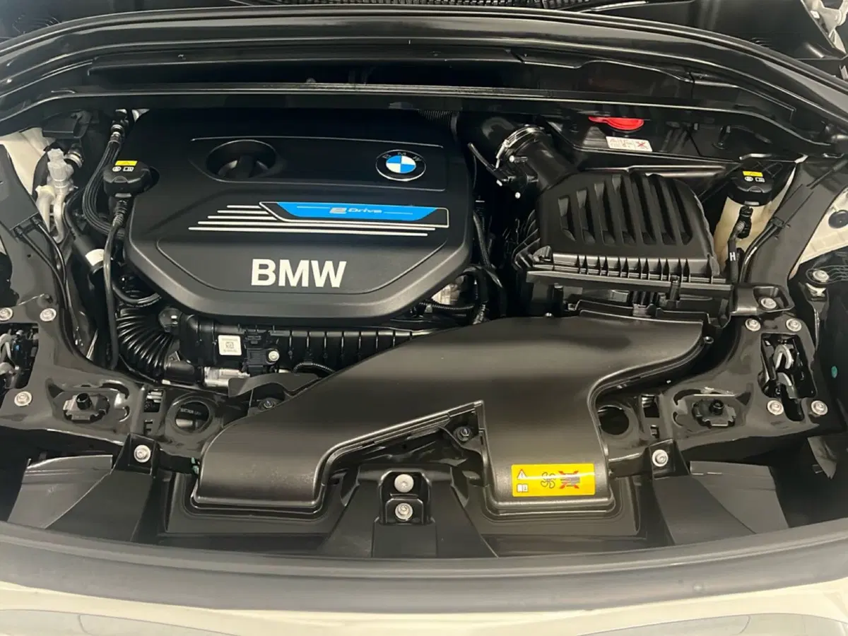 BMW X1 usata a Torino (13)