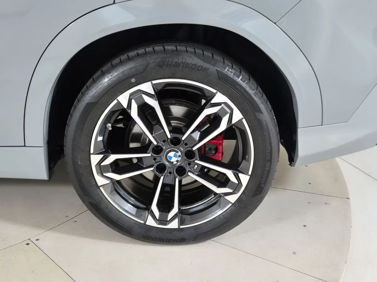 BMW X2 usata a Torino (15)