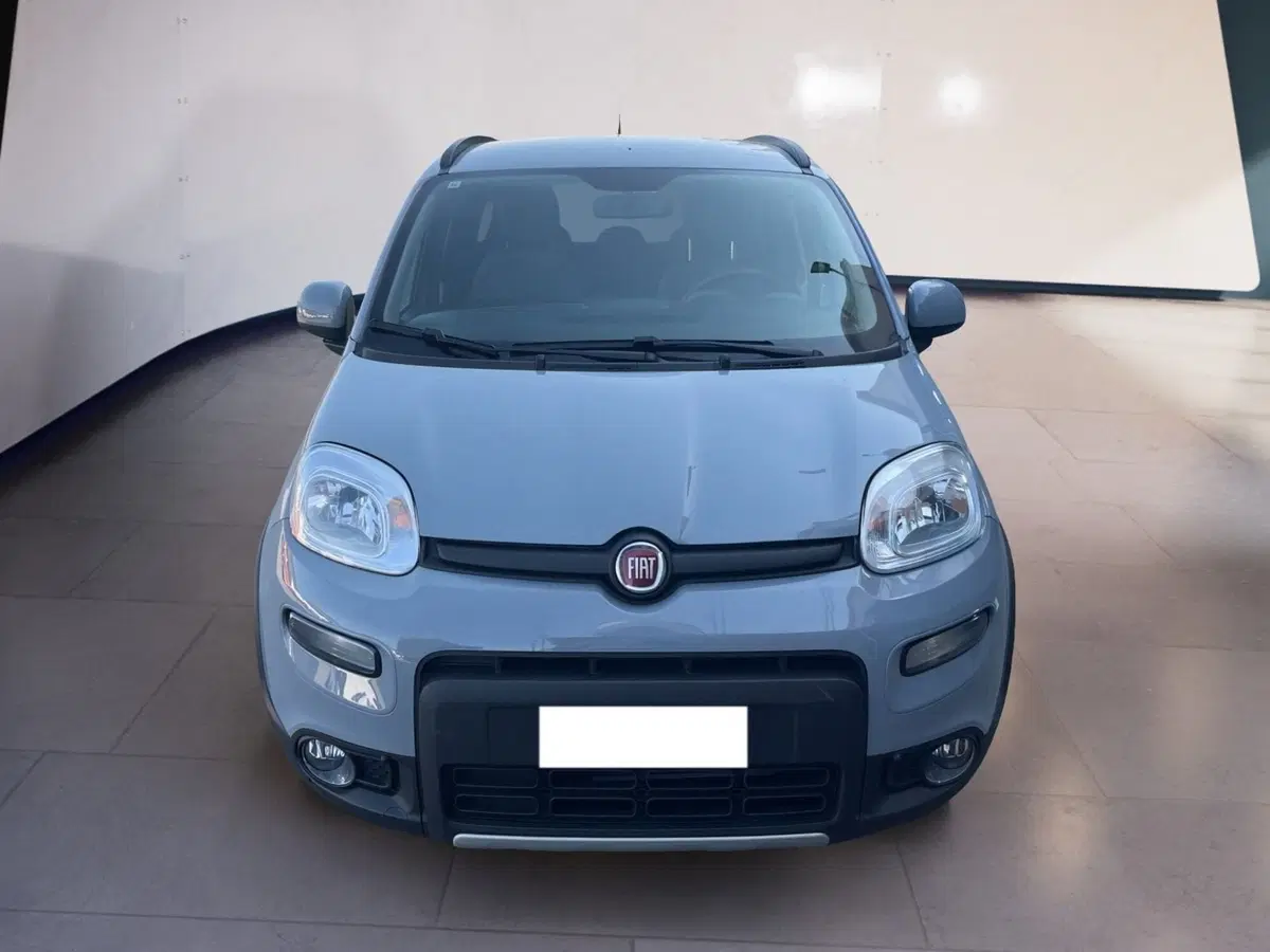 Fiat Panda usata a Torino