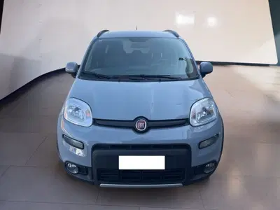 Fiat Panda 1.0 FireFly S&amp;S Hybrid City Cross del 2023 usata a Torino
