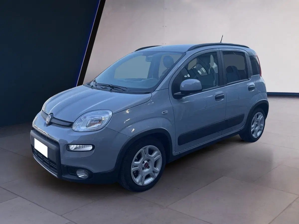 Fiat Panda usata a Torino (2)