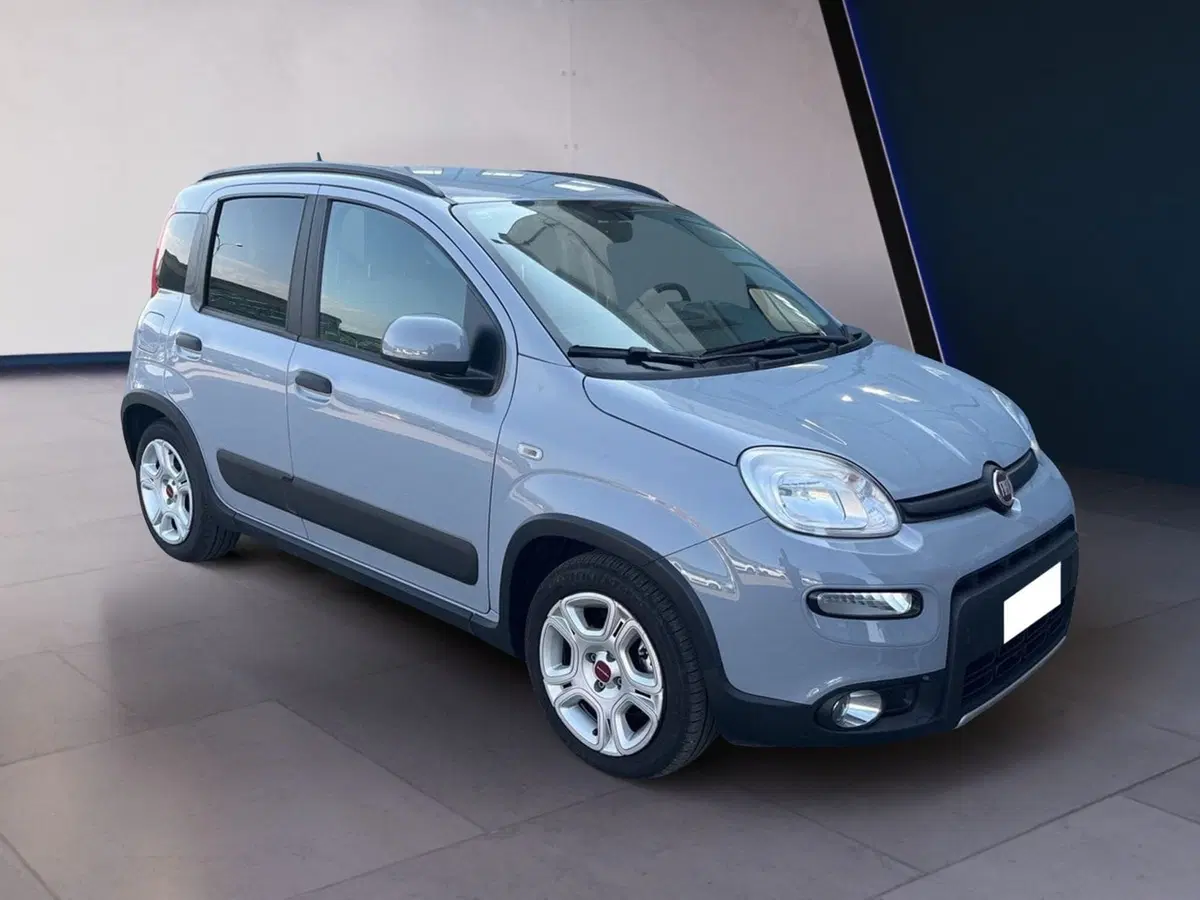 Fiat Panda usata a Torino (3)