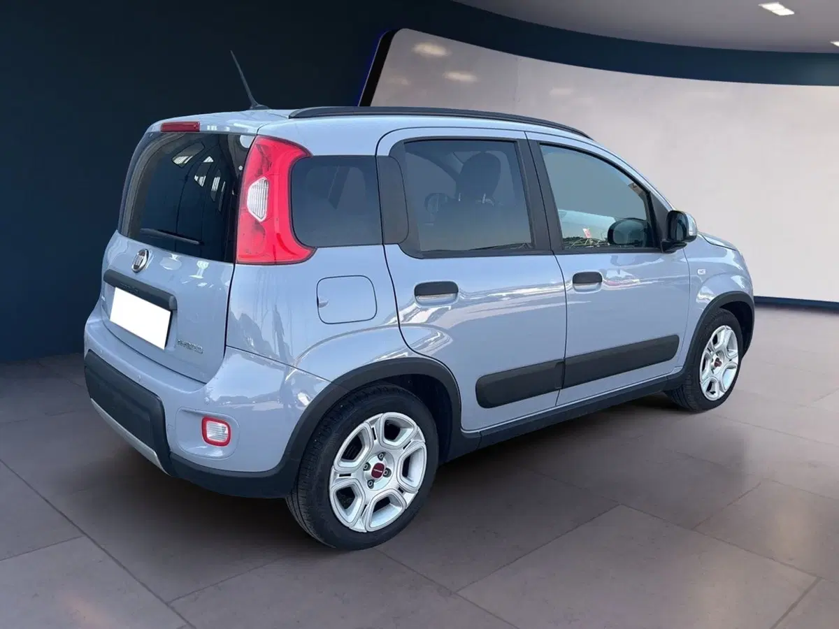Fiat Panda usata a Torino (4)