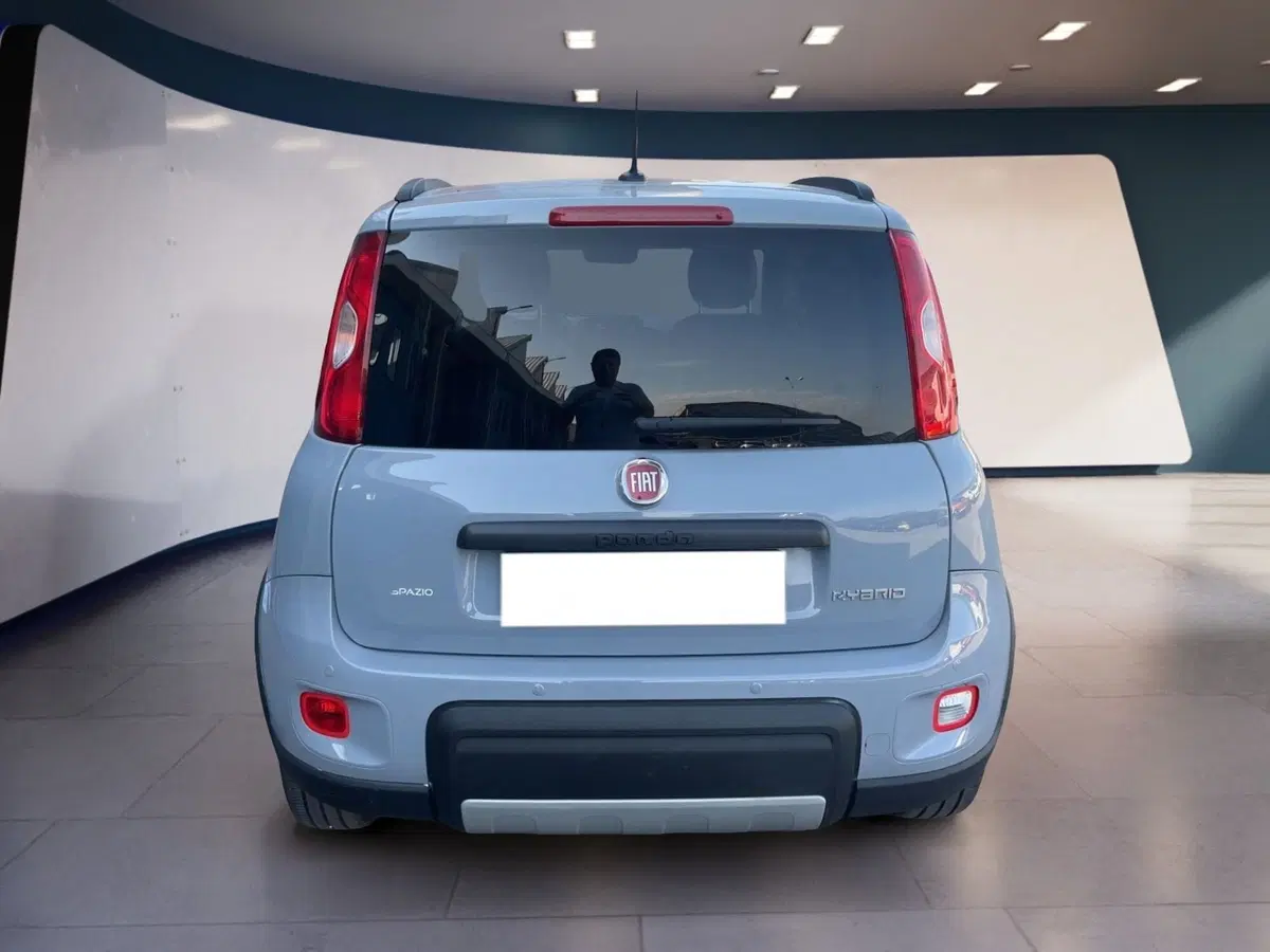 Fiat Panda usata a Torino (5)
