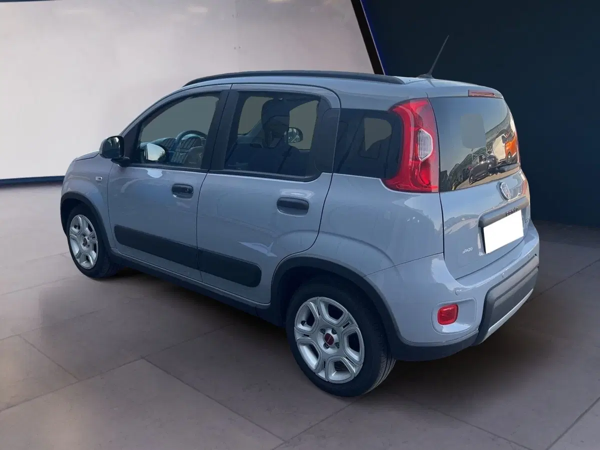 Fiat Panda usata a Torino (6)
