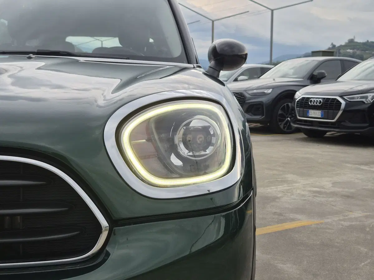 MINI Mini Countryman usata  (18)